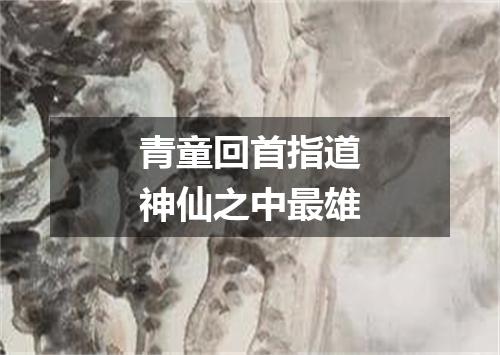 青童回首指道神仙之中最雄