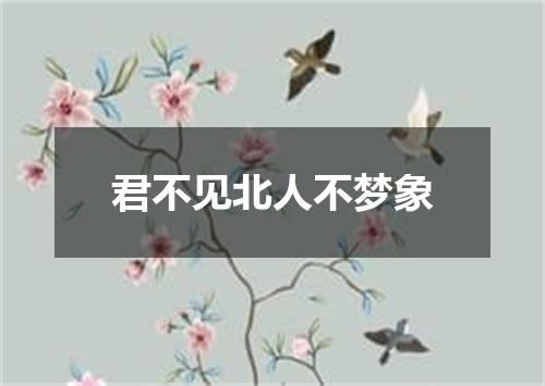 君不见北人不梦象