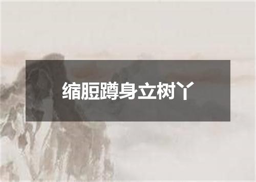 缩脰蹲身立树丫