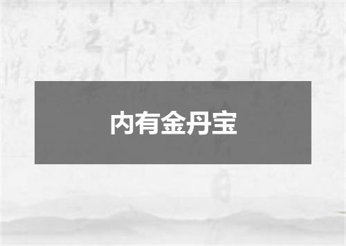 内有金丹宝