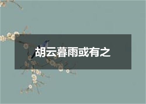 胡云暮雨或有之