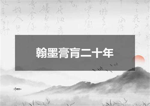 翰墨膏肓二十年