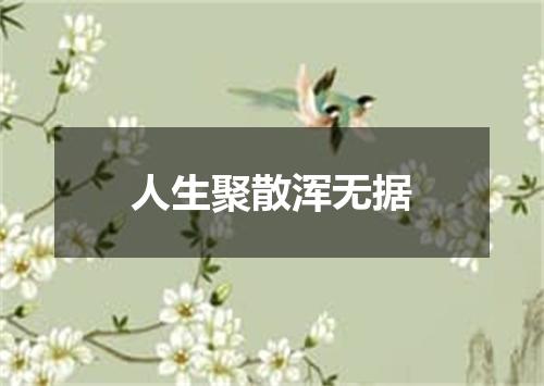 人生聚散浑无据