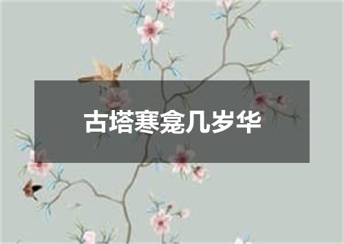 古塔寒龛几岁华