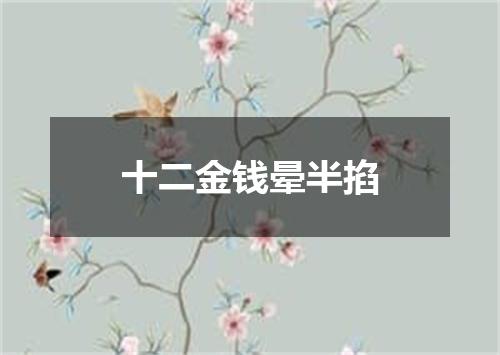 十二金钱晕半掐