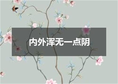 内外浑无一点阴