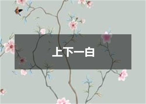 上下一白