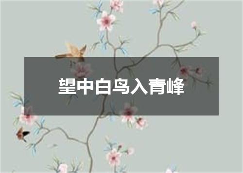 望中白鸟入青峰