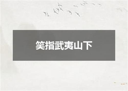 笑指武夷山下