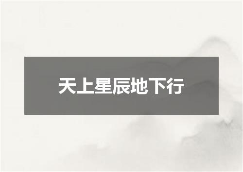 天上星辰地下行