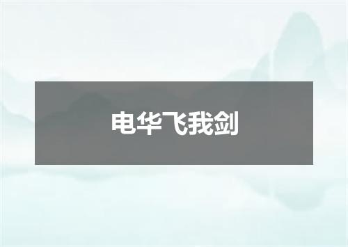 电华飞我剑