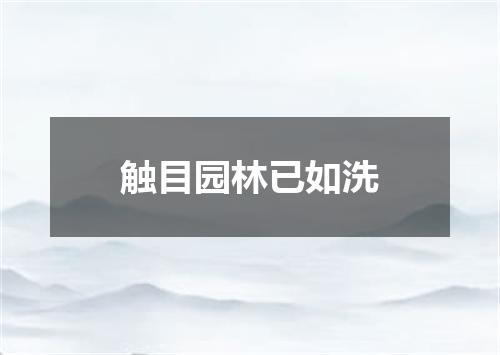触目园林已如洗