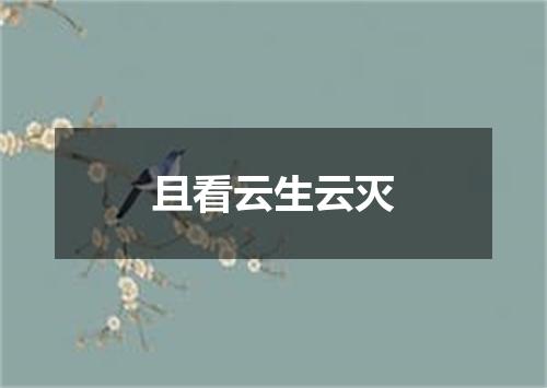 且看云生云灭