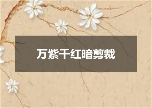 万紫千红暗剪裁