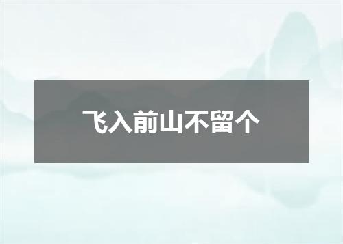 飞入前山不留个