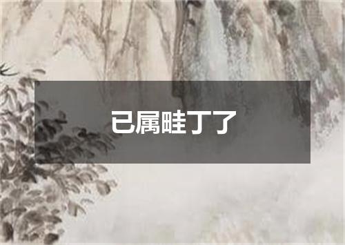 已属畦丁了