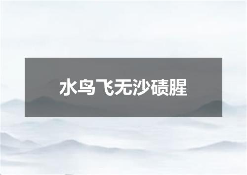水鸟飞无沙碛腥