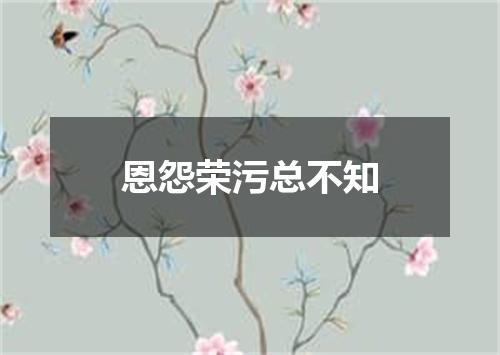 恩怨荣污总不知