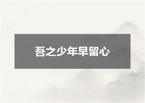 吾之少年早留心