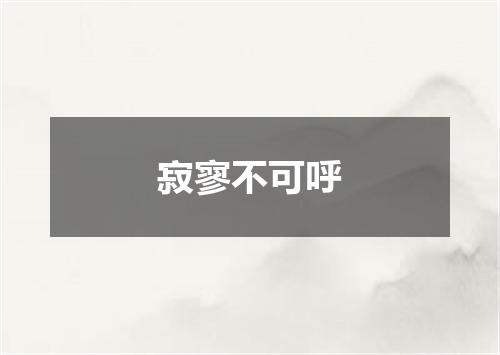 寂寥不可呼