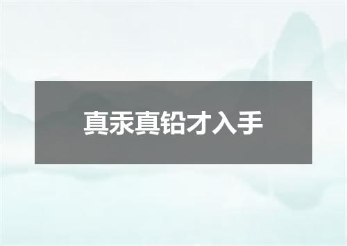 真汞真铅才入手