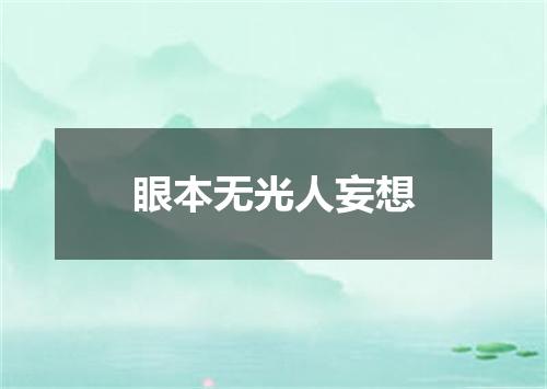 眼本无光人妄想