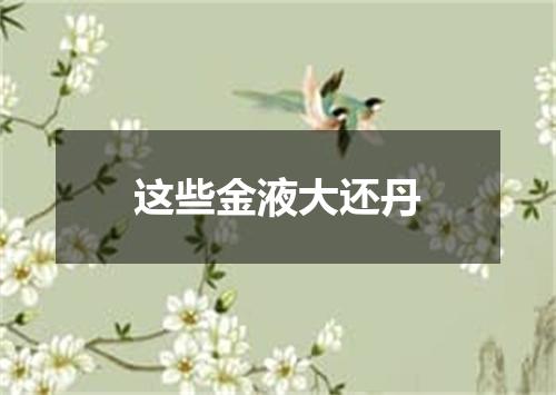 这些金液大还丹
