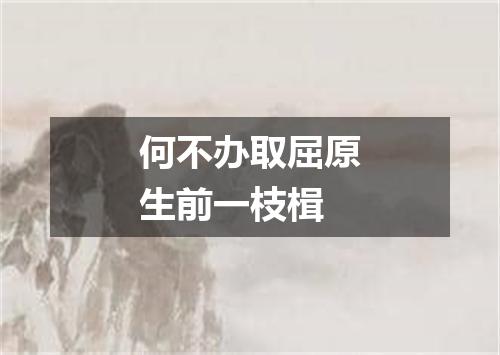 何不办取屈原生前一枝楫