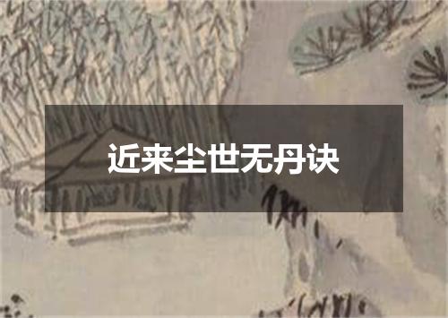 近来尘世无丹诀