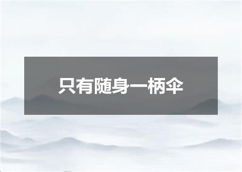 只有随身一柄伞