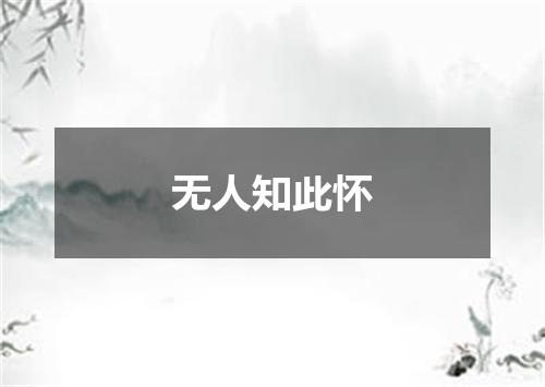 无人知此怀