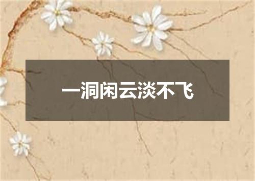 一洞闲云淡不飞