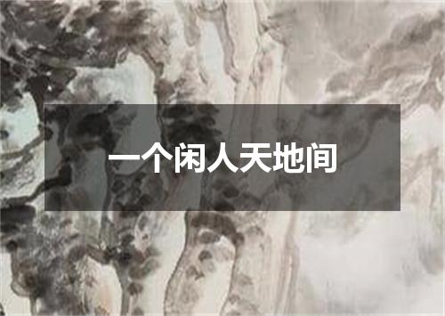 一个闲人天地间