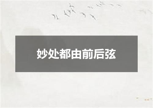 妙处都由前后弦