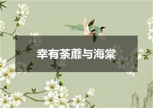 幸有荼蘼与海棠