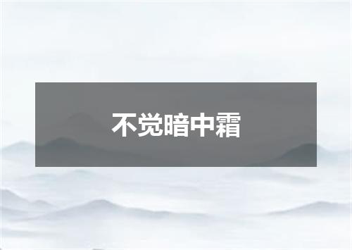 不觉暗中霜