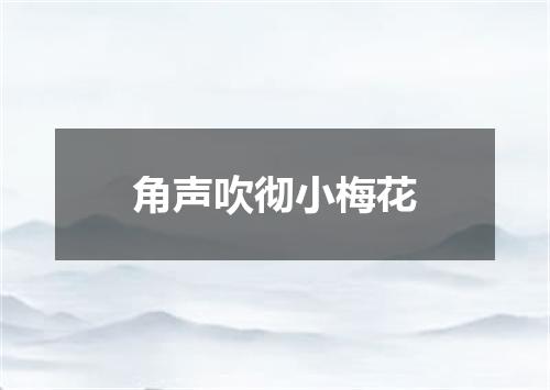 角声吹彻小梅花