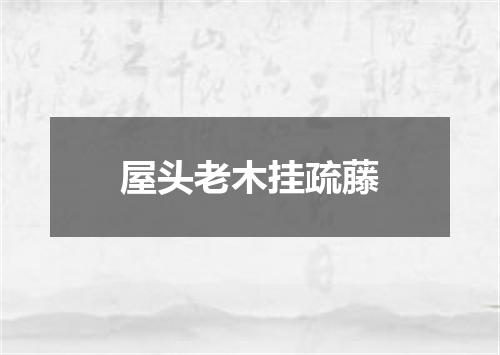 屋头老木挂疏藤