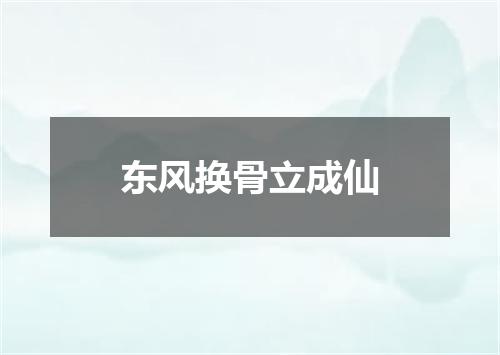 东风换骨立成仙