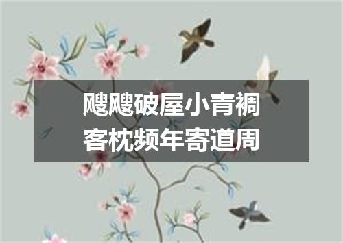 飕飕破屋小青裯客枕频年寄道周