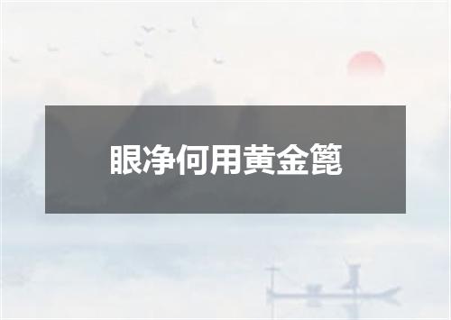 眼净何用黄金篦