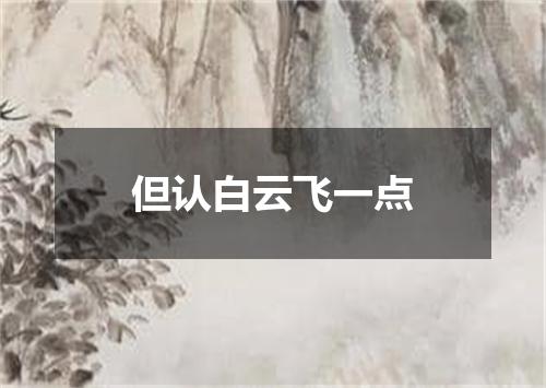但认白云飞一点