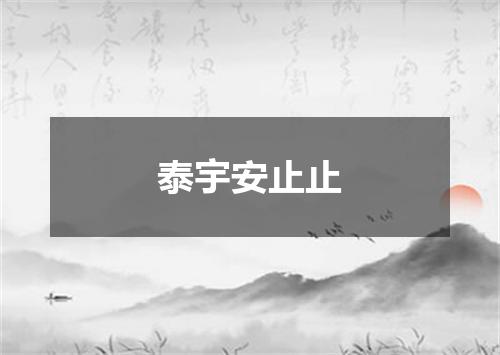泰宇安止止