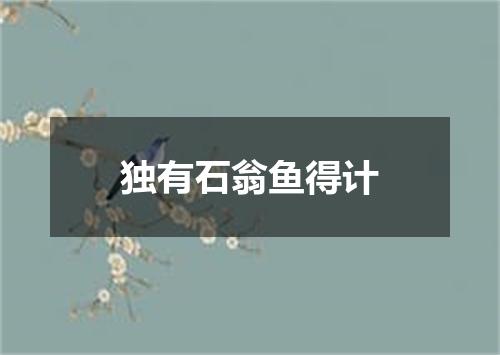 独有石翁鱼得计
