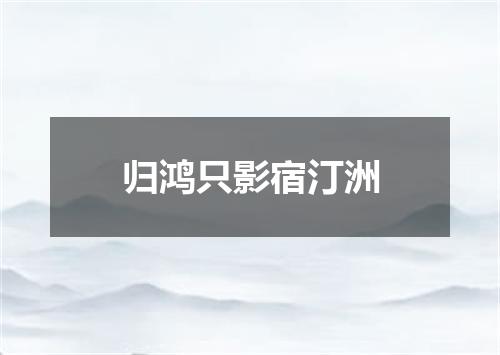 归鸿只影宿汀洲