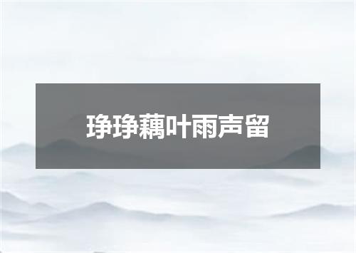 琤琤藕叶雨声留