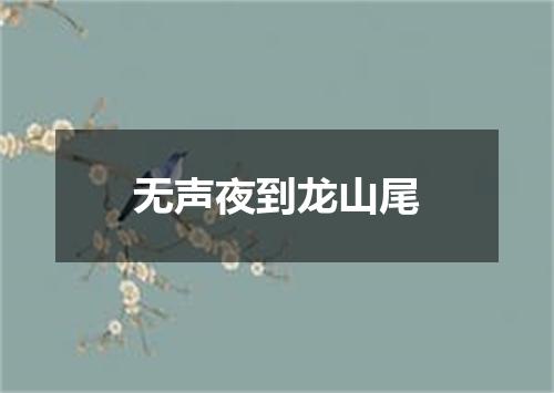 无声夜到龙山尾