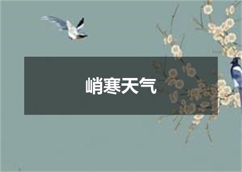 峭寒天气