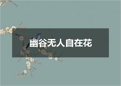 幽谷无人自在花