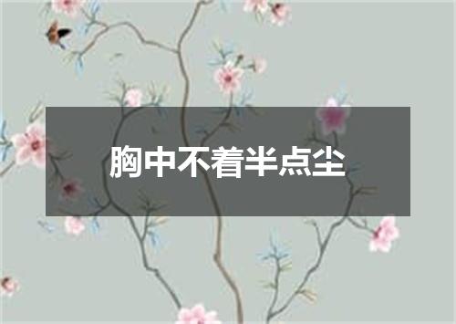 胸中不着半点尘